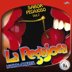 Sabor Pegajoso Vol. 7. Música de Guatemala para los Latinos by Marimba Orquesta La Pegajosa album reviews, ratings, credits