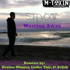 Wasting Away (Avlish Remix) Song Lyrics