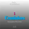 Dois Caminhos - Single album lyrics, reviews, download