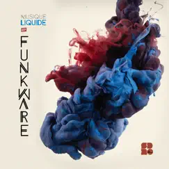 Musique Liquide - EP by Funkware album reviews, ratings, credits