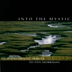 Into the Mystic: An Instrumental Tribute To Van Morrison by Pickin' On Series album reviews, ratings, credits