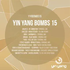 Yin Yang Bombs: Compilation 15 by Various Artists album reviews, ratings, credits