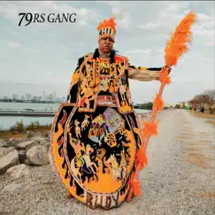 Fire On the Bayou by 79rs Gang album reviews, ratings, credits