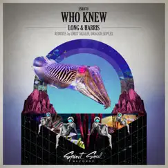 Who Knew (Dragon Suplex Remix) Song Lyrics