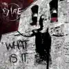 What Is It - Single album lyrics, reviews, download