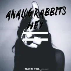 Hey - Single by Analog Rabbits album reviews, ratings, credits