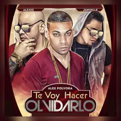Te Voy Hacer Olvidarlo (feat. Alex Polvora & Alexio La Bruja) Song Lyrics