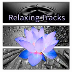 Relaxing Tracks for Relaxation & Massage, Meditation Yoga, Spa & Wellness, Reiki Healing, Sleep Therapy, 20 Minutes Sessions, Rain Sounds, Nature Sounds by Relaxing Music Zone album reviews, ratings, credits