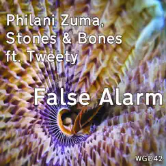 False Alarm (Soule Villain Remix) [feat. Tweety] Song Lyrics