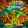 White Rabbit - Single album lyrics, reviews, download