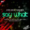 Say What? - Single album lyrics, reviews, download