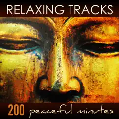 Relaxing Tracks - 200 Peaceful Minutes of Zen Relaxation Meditation Yoga Music with Sounds of Nature by Relaxing Music Spirit album reviews, ratings, credits