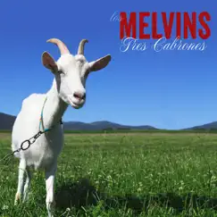 Tres Cabrones by Melvins album reviews, ratings, credits