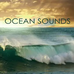 Ocean Sounds by Meditation Masters album reviews, ratings, credits