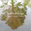Sounds of Natural Flow Vol. 2 album lyrics, reviews, download