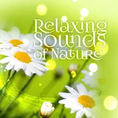 Relaxing Sounds of Nature - Calming Background Ambient Collection, Zen Spa Music, Deep Meditation, Yoga, Massage Music, Restful Sleep, Reiki Sound Healing by Serenity Nature Sounds Academy album reviews, ratings, credits