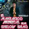 Metelo (feat. Shelow Shaq) - Single album lyrics, reviews, download