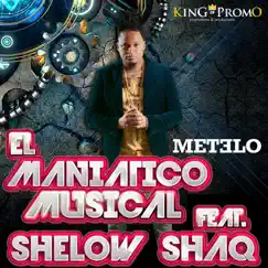 Metelo (feat. Shelow Shaq) Song Lyrics