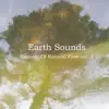 Sounds of Natural Flow Vol. 1 album lyrics, reviews, download
