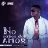 No Sabes Del Amor (feat. Predikador) song lyrics