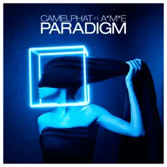 Paradigm (feat. A*M*E) Song Lyrics