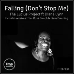 Falling (Don't Stop Me) [Liam Dunning Remix] [feat. Diana Lynn] Song Lyrics