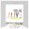 Feel so Alive (feat. Danny Dullmaier & Two Tone) [Remode] song lyrics