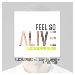 Feel so Alive (feat. Daniel Dullmaier & Two Tone) [Extended Remode] Song Lyrics