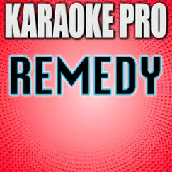 Remedy (Originally Performed by Adele) [Instrumental Version] Song Lyrics