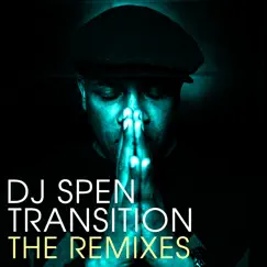 Searching (feat. Cinnamon Brown) [DJ Spen Alternate Mix] Song Lyrics