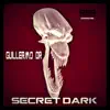 Secret Dark - EP album lyrics, reviews, download