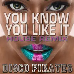 You Know You Like It (House Remix) Song Lyrics