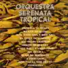 O Novo Som da Orquestra Serenata Tropical album lyrics, reviews, download