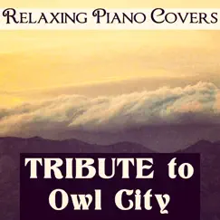 Tribute to Owl City by Relaxing Piano Covers album reviews, ratings, credits