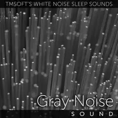 Gray Noise Sound Song Lyrics