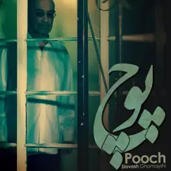 Pooch - Single by Siavash Ghomayshi album reviews, ratings, credits