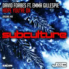 Hope You're Ok (feat. Emma Gillespie) - Single by David Forbes album reviews, ratings, credits