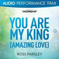 You Are My King (Low Key Without Background Vocals) Song Lyrics
