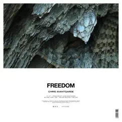 Freedom Song Lyrics