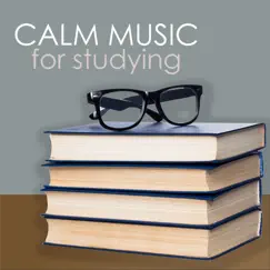Calm Music for Studying Song Lyrics