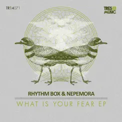 What Is Your Fear - EP by Rhythm Box & Nepemora album reviews, ratings, credits