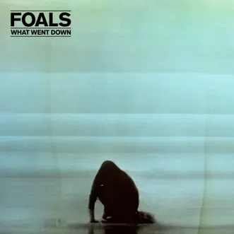 What Went Down by Foals album download