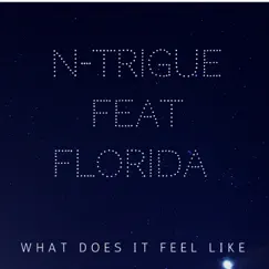 What Does It Feel Like (feat. Flo Rida) [Remixes] - Single by N-Trigue album reviews, ratings, credits