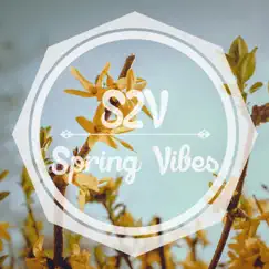 Spring Vibes - Single by S2V album reviews, ratings, credits