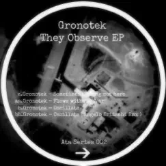 They Observe - EP by Gronotek album reviews, ratings, credits
