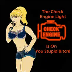 The Check Engine Light Is on You Stupid Bitch! - Single by Broke Dick Dog & Bunny Grabbit album reviews, ratings, credits