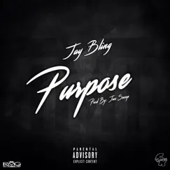 Purpose - Single by Jay Bling album reviews, ratings, credits