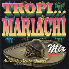 Tropi… Mariachi Mix by Mariachi Arriba Juárez album reviews, ratings, credits