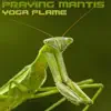 Praying Mantis - Single album lyrics, reviews, download