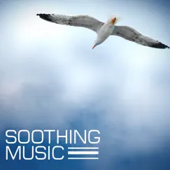 Soothing Music - Ultimate Soothing Lullabies Collection by Soothing Music Ensamble album reviews, ratings, credits